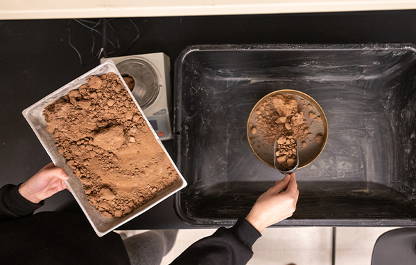 Hands working with soil