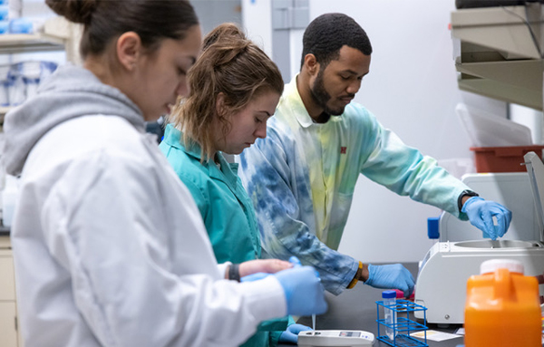 students using lab equipment