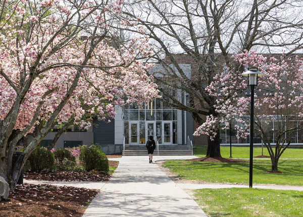 an image of a student walking toward auerbach hall