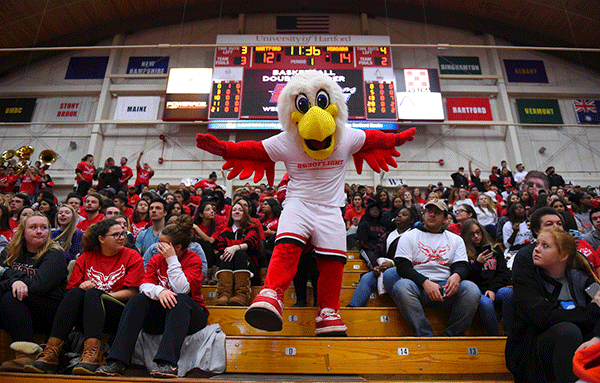 Howie in the stands at a basketball game