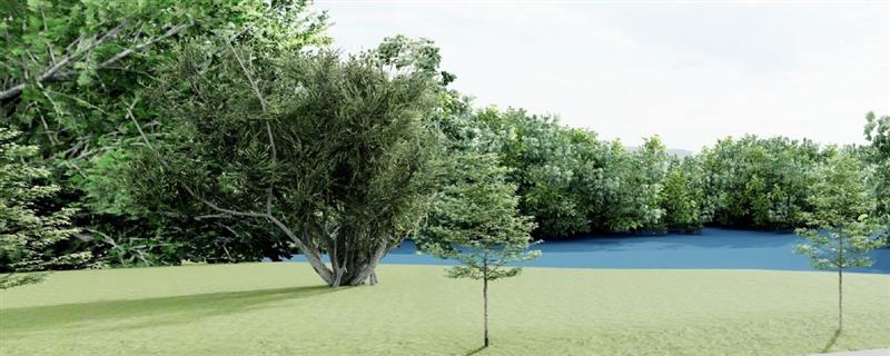 site://Giving Site/your-impact/_images/screenshot-2026-02-18-at-10.38.31am.jpg