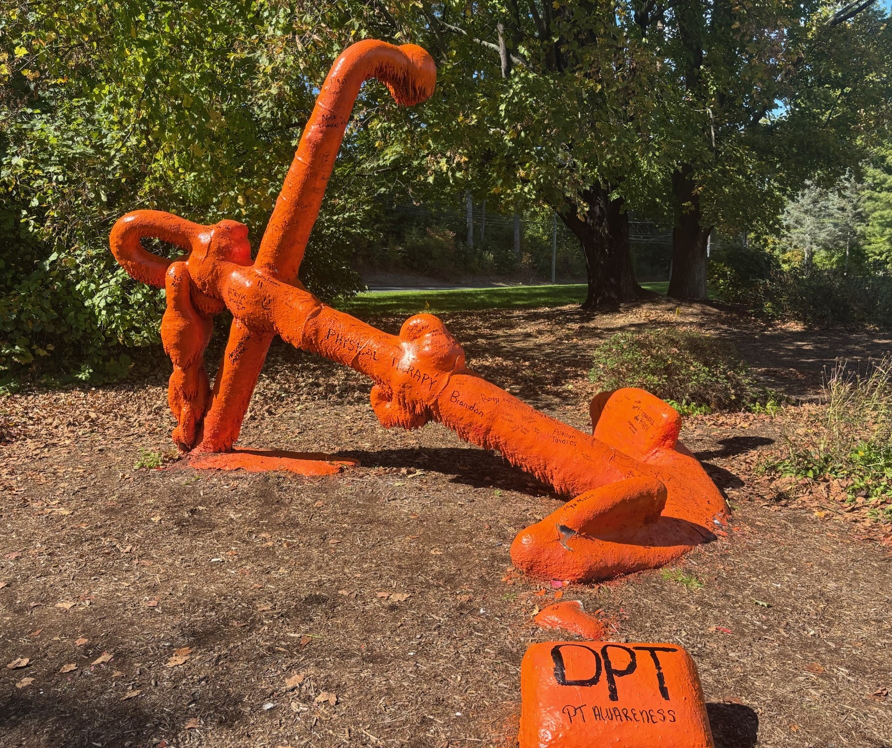 Orange anchor